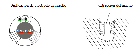 st100 caracteristicas 2